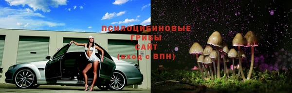 Альфа ПВП Верхний Тагил