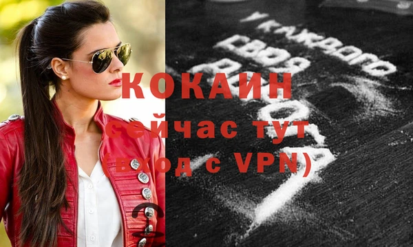 apvp Верея