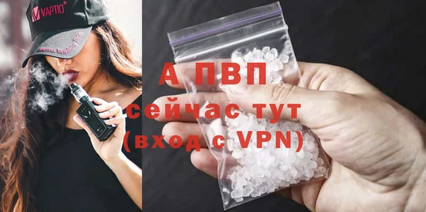 apvp Верея